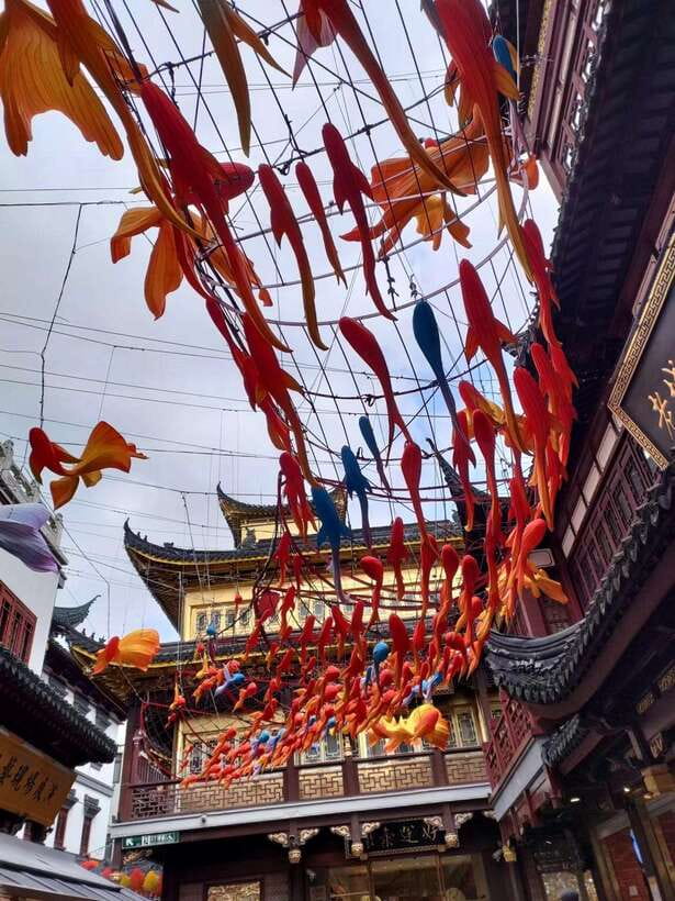 3-Hour Shanghai Street Food Tasting & Old Town Private Tour - Who should book this private food tour