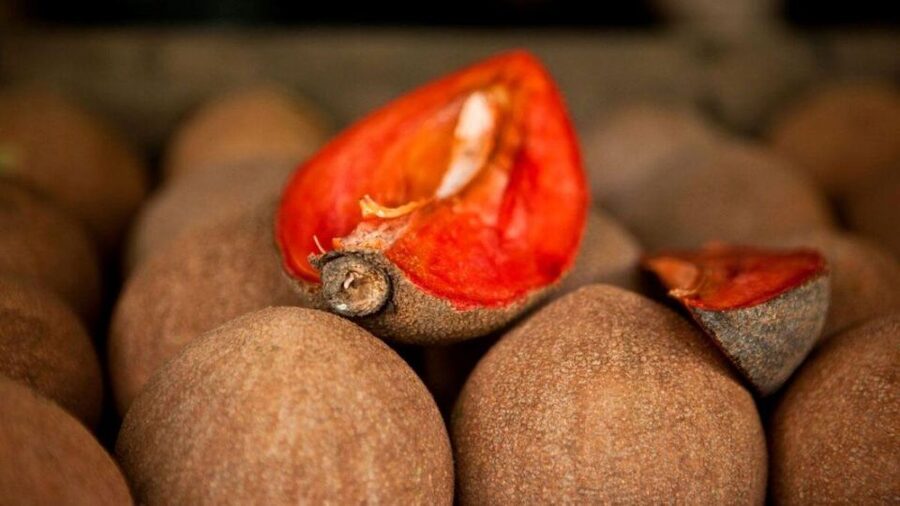 Antigua Guatemala: Street Food Walking Tour with Tastings - Who should book this Antigua food walk?