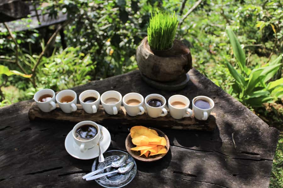 Bali: Authentic Culinary Street Food Experience Tour - Your First Plates: Roast Meat, Rice, and Balinese Ceremony Food