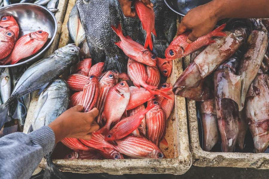 Bali: Jimbaran Seafood Market Tour with Sunset Dinner - Why Jimbaran makes a good food stop