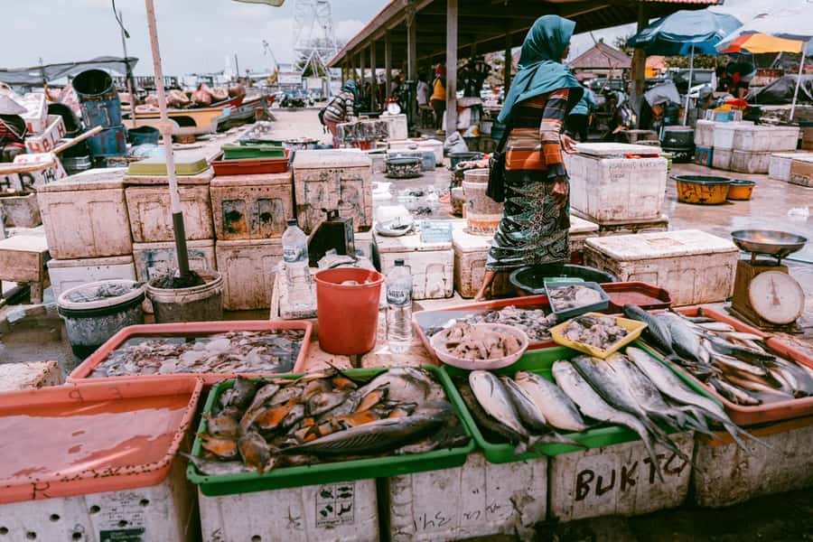Bali: Jimbaran Seafood Market Tour with Sunset Dinner - Price, extra charges, and overall value