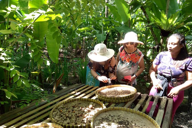 Bali Night Market Experience and Ubud Highlights tour - Why the guide matters more than the schedule