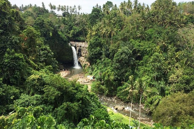 Bali Night Market Experience and Ubud Highlights tour - The $45.50 price: where the value sits