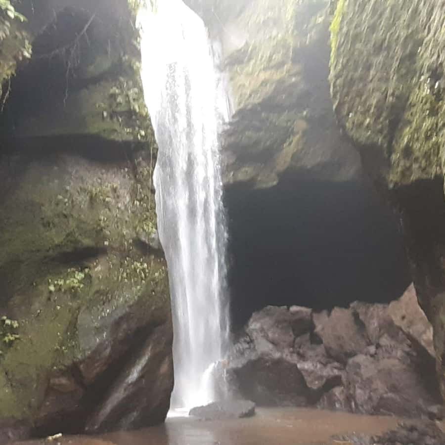 Bali: Penglipuran Village, Waterfall, and Night Market Tour - Hotel pickup, driving, and the nine-hour schedule