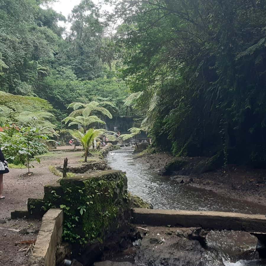 Bali: Penglipuran Village, Waterfall, and Night Market Tour - Who should book this Bali day trip?