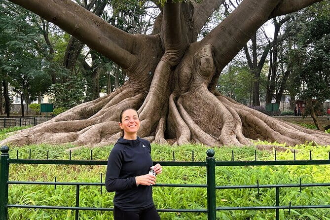 Bangalore Street Food + Lalbagh Garden Walking Tour - Meeting points, timing, and the evening route