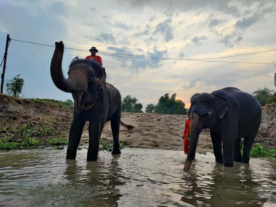 Bangkok: Private Trip to Ayutthaya Temples & Night Market - Key points to know before booking