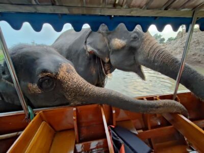Private Trip to Ayutthaya Temples & Night Market