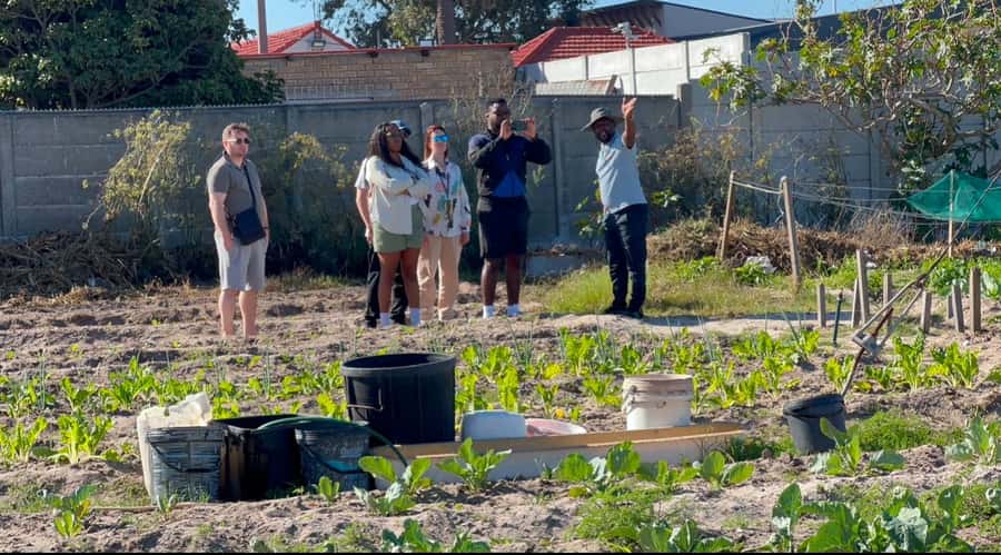 Cape Town: Local street food tour - Why the guide matters more than the menu