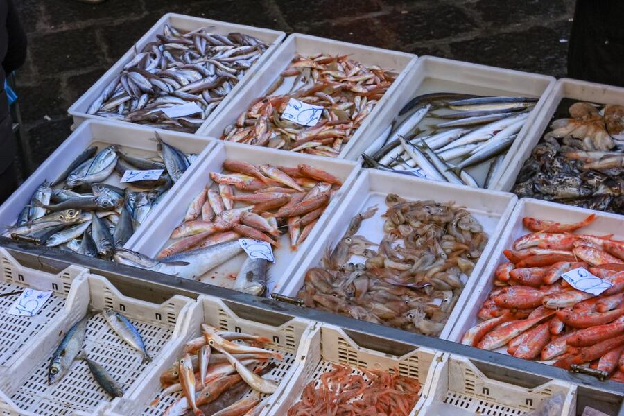 Catania: Street Food Guided Walking Tour - What the $56 price gets you in Catania