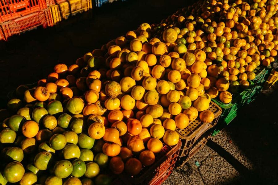 Cebu: Street Food Tour with Local Guide - What the $99 price really covers