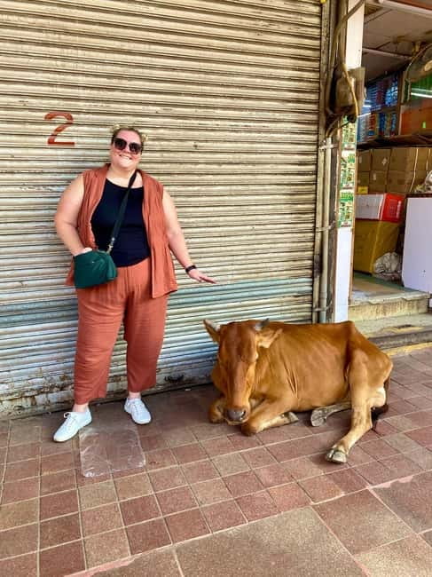 Delhi: Old Delhi's Street Food, Temples & Spice Market Tour - Why this three-hour Old Delhi tour works
