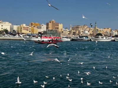 Old Town Walking Tour with Abra Cruise & Street Food
