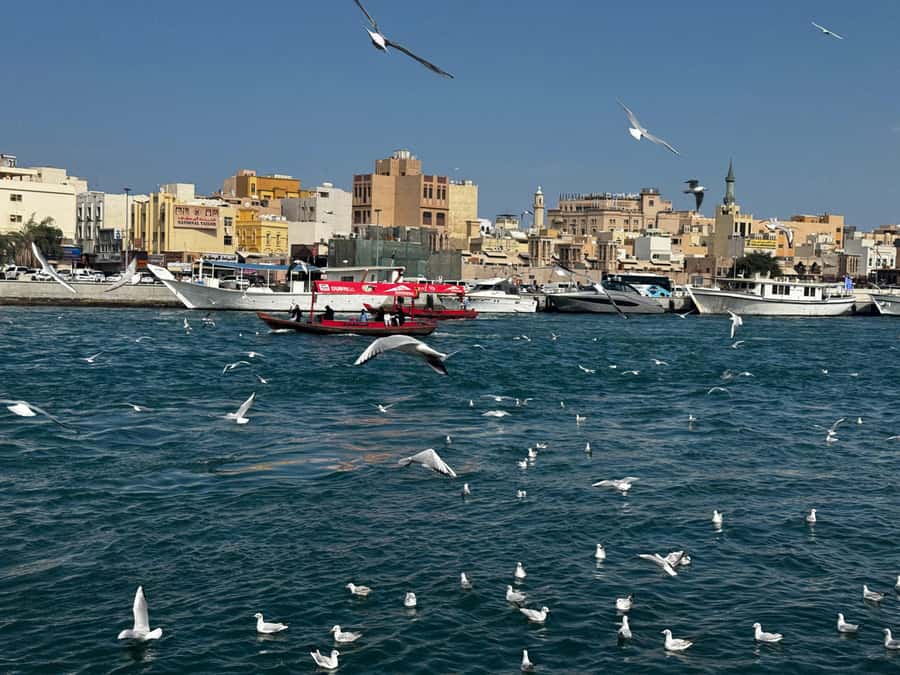 Dubai: Old Town Walking Tour with Abra Cruise & Street Food - Starting at Al Seef and entering Al Fahidi