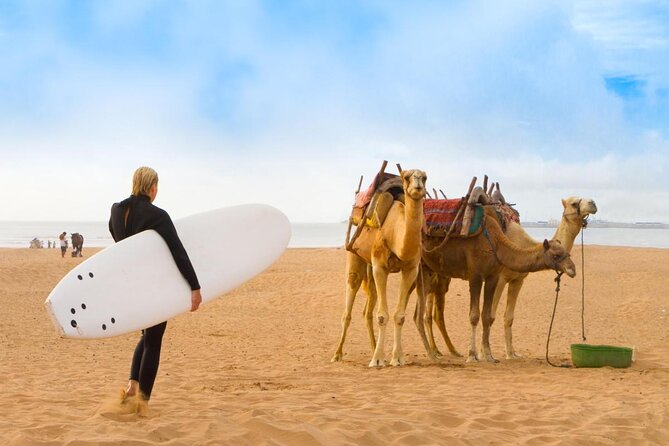 Essaouira Guided Tour: 3 on 1 - Nightlife tour, Live like a local & Street food - Starting at Bab Sbaa and entering the medina