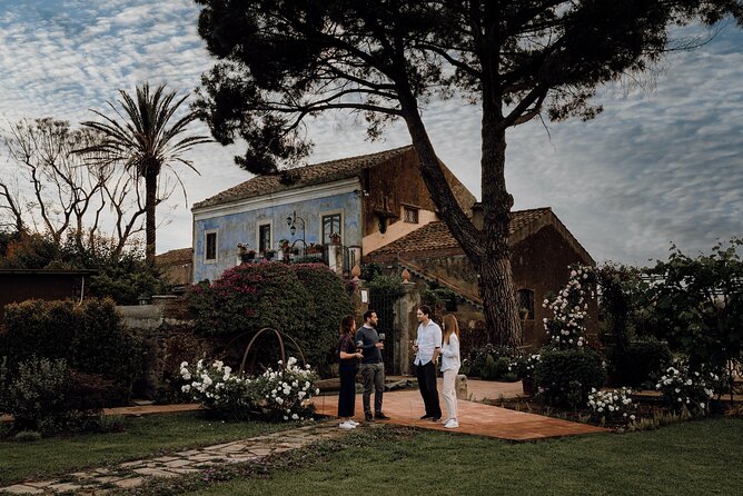 Etna Urban Winery - Tasting with Street Food Platter and vineyard - Should You Book Etna Urban Winery?