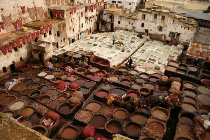 Fez Street Food Tour - Key points at a glance