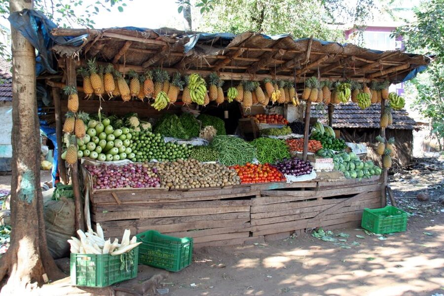 Goa Street Food Crawl: Authentic Food Tasting Experience - My verdict: book it for context, not just quantity