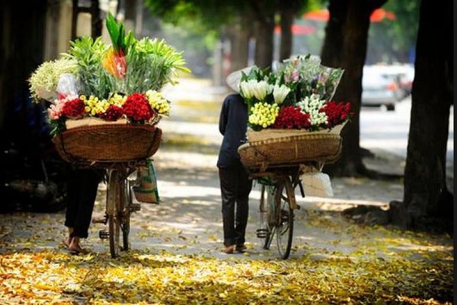Hanoi street food tour (small group) - What the $28 price really gets you