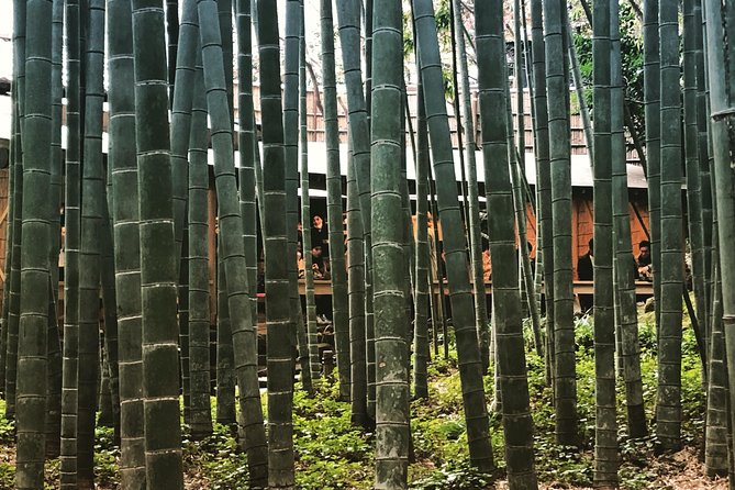 Historic Kamakura: Temples, Shrines and Street Food Private Walking Tour - Hokoku-ji pairs bamboo with a quiet cup of tea