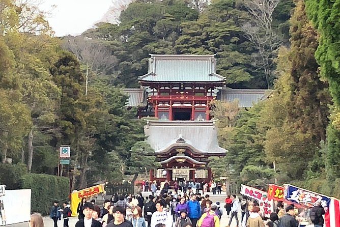 Historic Kamakura: Temples, Shrines and Street Food Private Walking Tour - The walking pace and route need honest consideration
