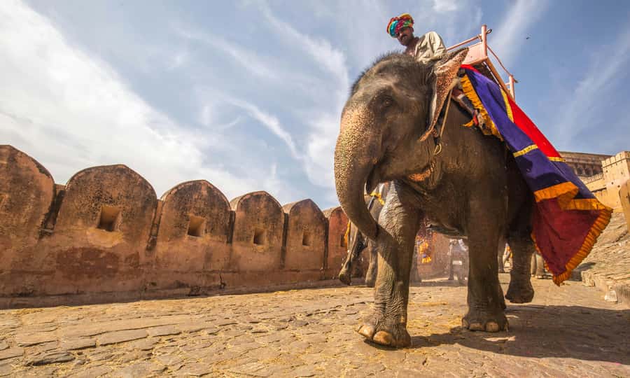 Jaipur: Private Full Day City Tour With Street Food - Amber Fort is the main heritage stop