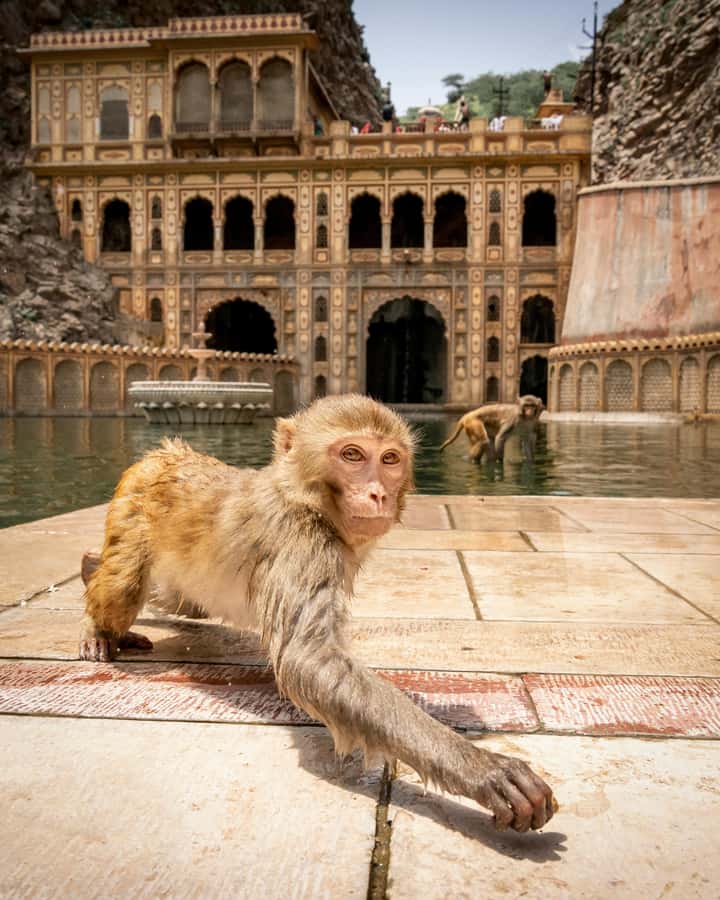 Jaipur: Private Full Day City Tour With Street Food - Hawa Mahal starts the visual story