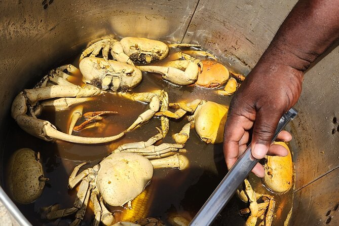 Jamaican Street Food and Rum Tasting Private Tour - Who will enjoy this most?