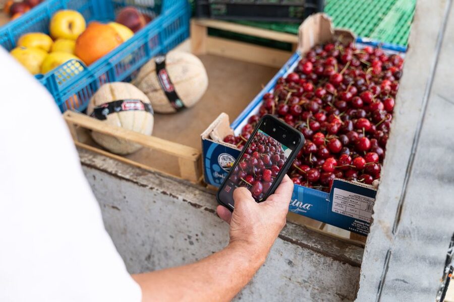 La Spezia: Small-Group Street Food Tour - Should you book the La Spezia food tour?