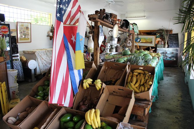 Little Havana Street Food Tour with Enthusiastic Guide - Rooster Alley and neighborhood artwork