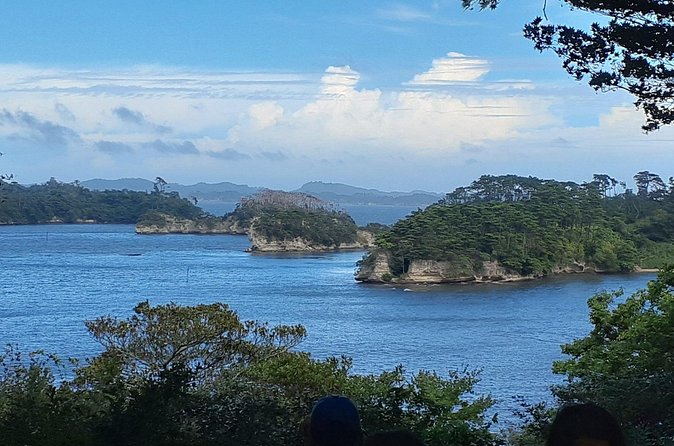 Matsushima Bay, Islands and Seafood Market day tour from Tokyo - Sendai dinner before the return train