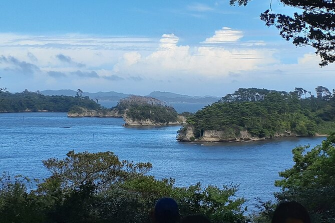 Matsushima Bay, Islands and Seafood Market day tour from Tokyo - Matsushima Fish Market and a seafood lunch