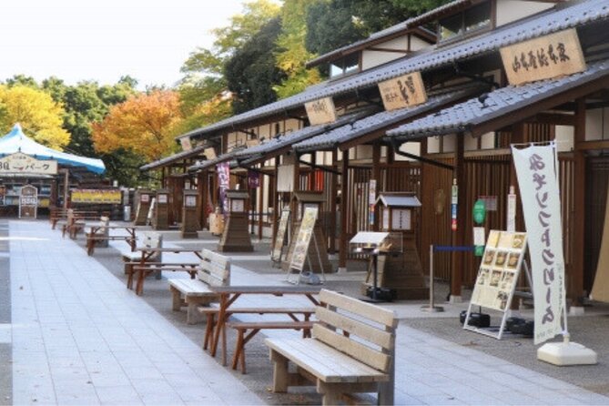 Nagoya Castle and Local Flavor Samurai Tales and Street Food Walk - Kinshachi Yokocho and Nagoya’s local food