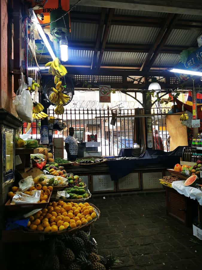 North Tour Of Mauritius With Street Food tasting - A private car, guide, and full-day pace
