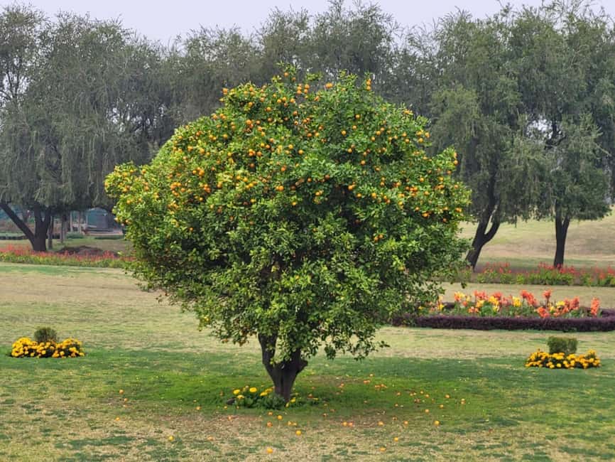 Old & New Delhi Private Day Tour with Expert Guide - Raj Ghat offers a quiet pause