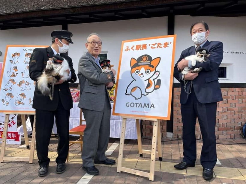 Osaka: Wakayama Cat Train, Seafood market, Hot Springs Tour - Key things to know before you book
