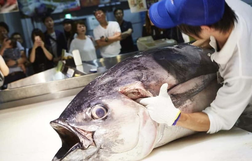 Osaka: Wakayama Cat Train, Seafood market, Hot Springs Tour - Sandanbeki Cave and the pirate stories