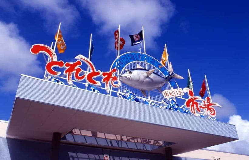 Osaka: Wakayama Cat Train, Seafood market, Hot Springs Tour - Who should book this experience?