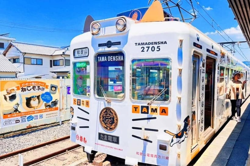 Osaka: Wakayama Cat Train, Seafood market, Hot Springs Tour - Meeting at Nipponbashi and settling into the bus