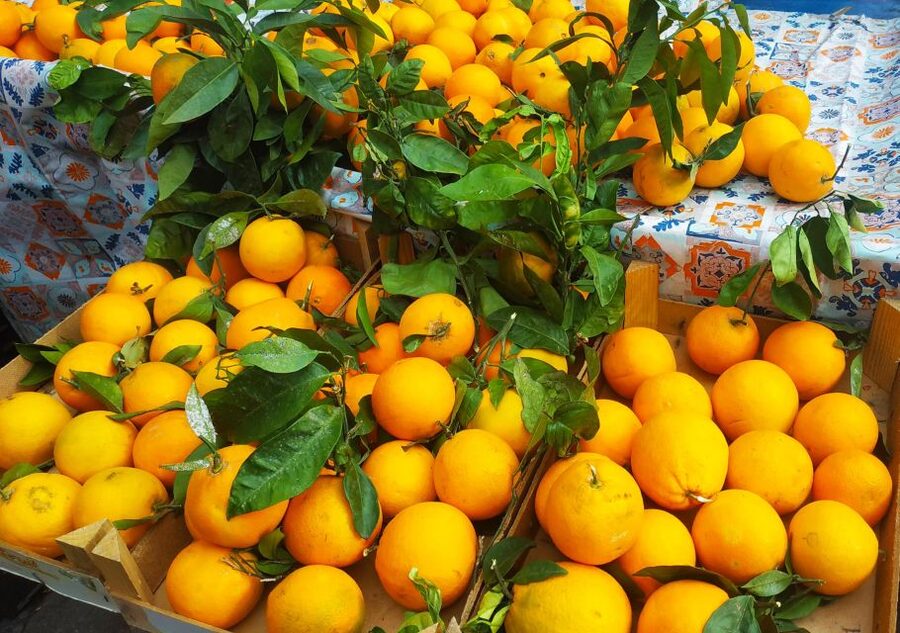 Palermo: Street Food Walking Tour with Local Guide & Tasting - Capo Market, Palermo’s main food scene