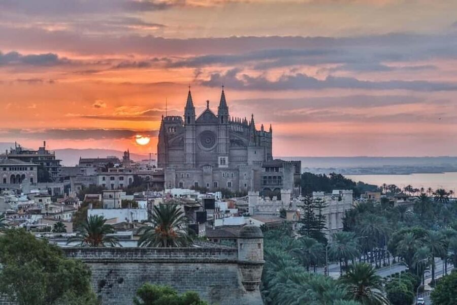 Palma de Mallorca : Best Street Food Tour With A Local Guide - Why this Palma food walk makes sense
