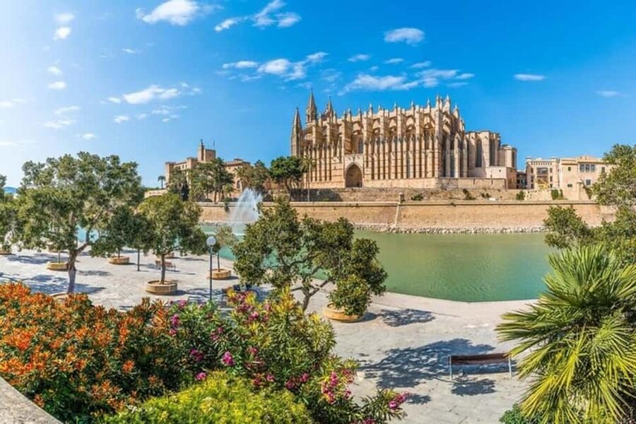 Palma de Mallorca : Best Street Food Tour With A Local Guide - Should you book the Palma food tour?