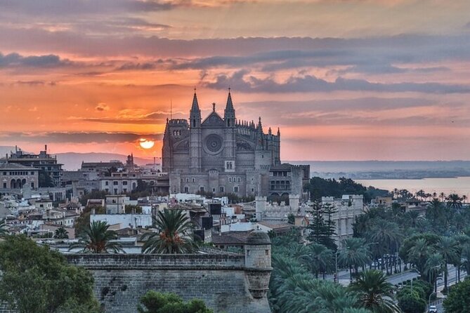 Palma de Mallorca Street Food Tour With A Local Guide - Starting at Carrer de Sant Magí