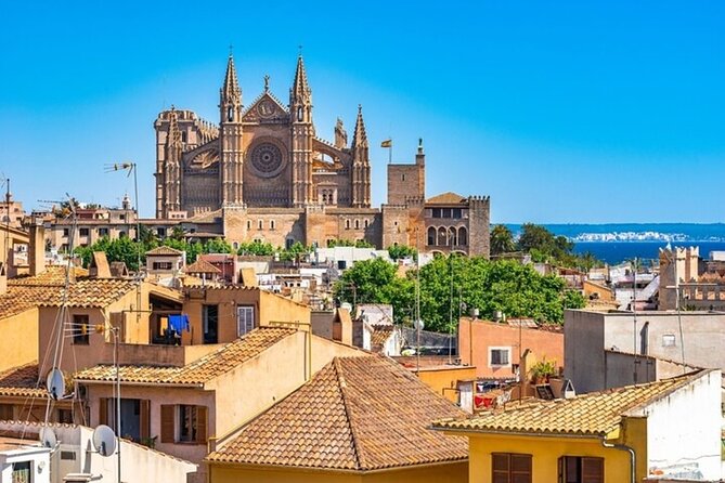 Palma de Mallorca Street Food Tour With A Local Guide - Es Baluard and the change from food to art