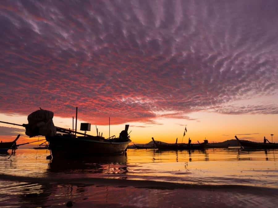 Phuket: Sunset View and Seafood Market Dinner Guided Tour - Choosing how your seafood is prepared
