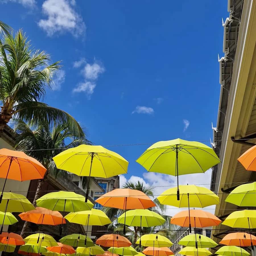 Port Louis: City Tour with Street Food Tasting - Fort Adelaide gives the city a different angle