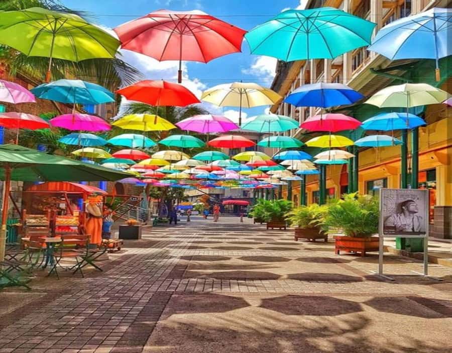 Port Louis: Private Guided Tour and Street Food Tasting - Street food tastings that carry the day