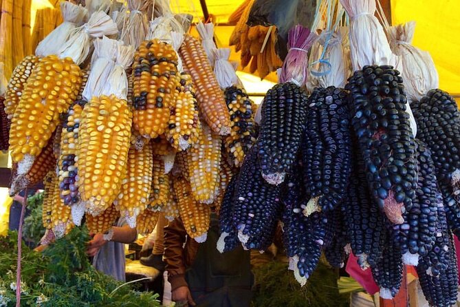 Private Half-Day Traditional Markets Street Food Tour in Mexico City - Practical points that affect your morning