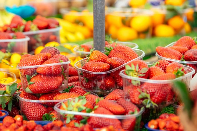 Rome's Best Street Food Private Tour with a Local - What the private format means for you