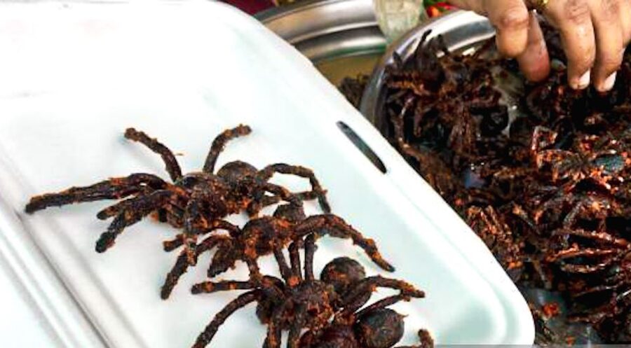 Siem Reap: Cambodia local street foods and local guide - Who should book this food experience?